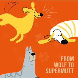 Illustration_Artwork_350dc6cc33